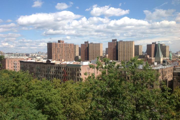 harlem